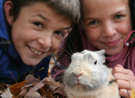 Granger Pet Behavior Training