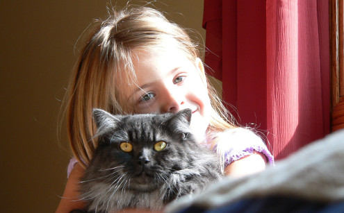 Granger Veterinary Clinic