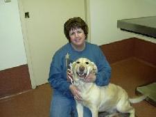 Diann Linback