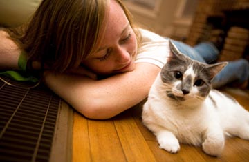 Pain Management For Pets in Granger IN