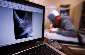 Pet X-ray, Ultrasound & Lab Diagnostics With Kryder Veterinary Clinic